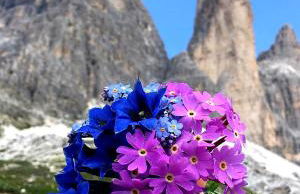 BioTop Appartement Kronplatz - Foto 23