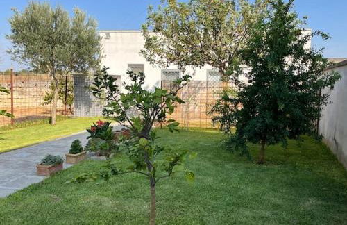 Casa Vacanze La Vecchia Brace - Foto 26