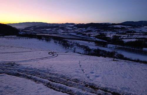 Domek Gruszkowy Wzorek - Foto 14