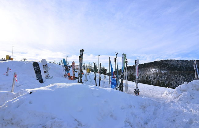 Modern Apartment in Sellinghausen With Terrace - Foto 31