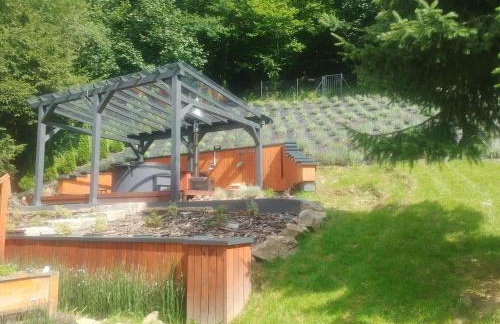 Lawendowe wzgórze - Foto 19