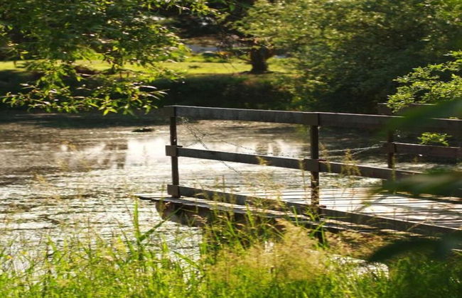 Charming Holiday Home in Gargas With Swimming Pool - Photo 32