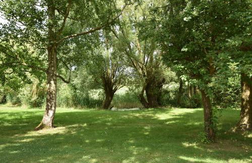 Wohnung in Alt Bukow mit Garten - Foto 55