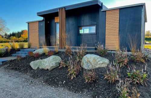 Nordic Thor - Foto 2