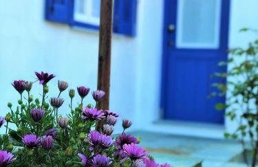 HORTO HOUSE - Foto 4