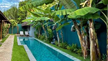 Tropicália Chalés Boutique - Foto 3, Garden, Garden view