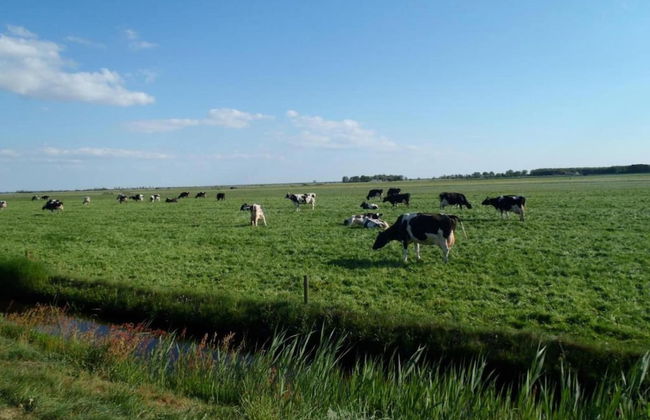 Bungalow in Sondel Near Slotermeer Lake - Foto 24