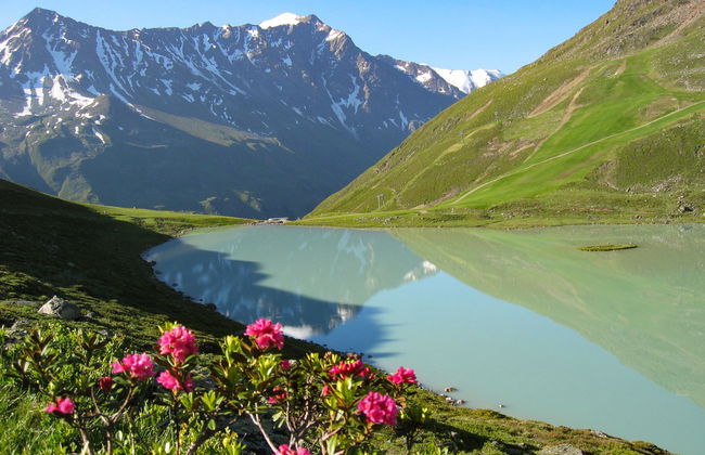 Walzthöni - Foto 48