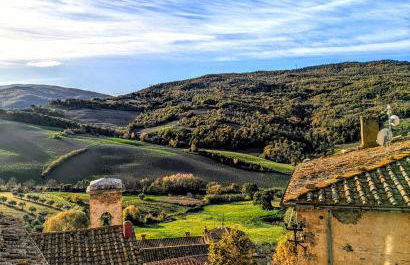 Il Muro d'Oro - Foto 14