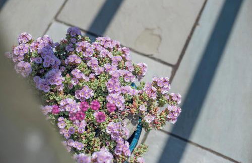 Musselwick House - Foto 34