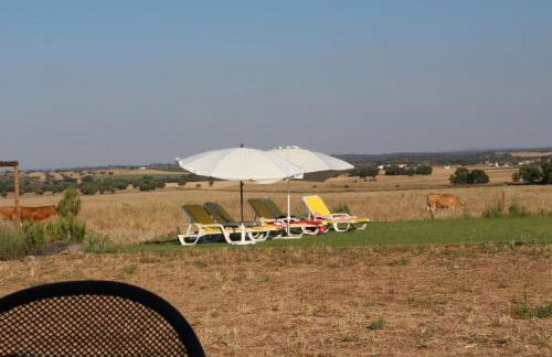 Monte Da Azarujinha - Foto 49