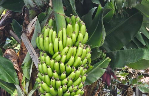 JoLi Larano - BBQ In - Foto 15