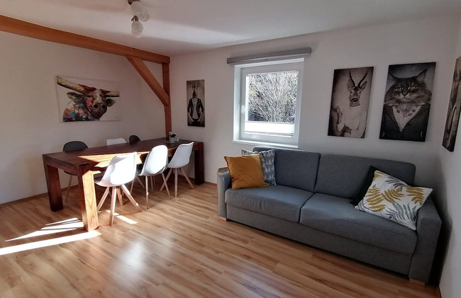 Apartment in Dienten Near Gabuhel Ski Lift - Foto 1