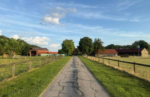 Hof König - Foto 19