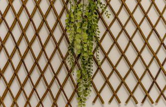 Apartamento Goa - Foto 21