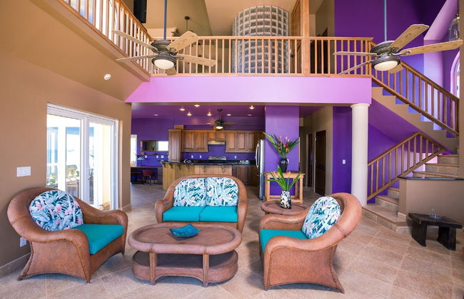 Yellow Bird - Foto 10