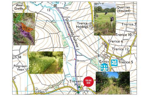 Bowgie at Trewerry Cottages - Away from it all, close to everywhere - Foto 12