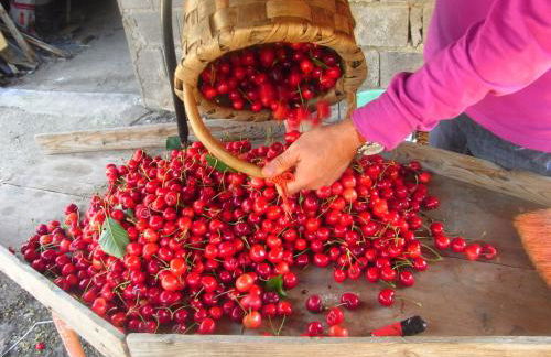 Casa Jardín de la Plata - Foto 56