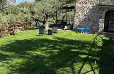 Villa con piscina nel Cilento Casolare Cento Ulivi Luxury & Charme - Foto 3