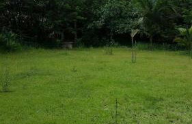 Chácara em Piracaia - Photo 11