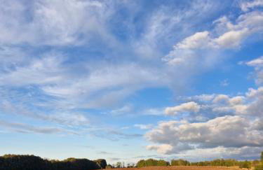 Agroturystyka "Biały Bocian" - Foto 22