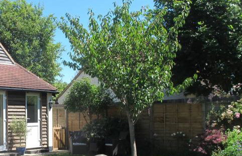 Walk to West Wittering Beach - Pass the Keys - Foto 4