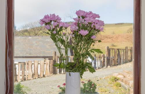 Merlin Cottages - Foto 34