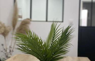 Colmar,appart chaleureux 2 pas centre avec jardin - Foto 11