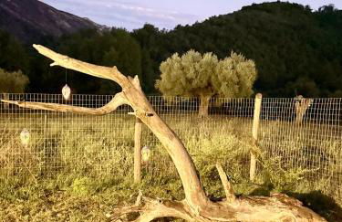 Le Tre Aie - Cilento home holidays - Photo 33