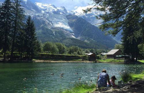 Apartment Chinook,La Praz,Chamonix Mont Blanc - Photo 50