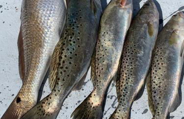 Pirates Pointe Resort - Foto 61