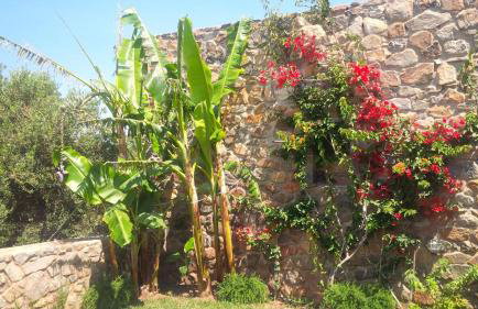 VILLA ASTERAKI private pool, magic sunsets, near Elafonisi - Foto 29