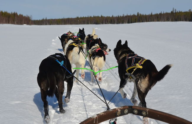 Jockfall Fishing and Activities - Foto 17