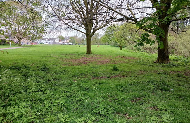 Cosy 1-bed Apartment in Swindon, Private Parking - Foto 21