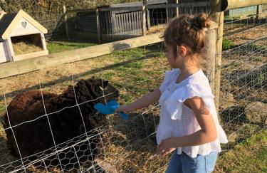 Willow Court Farm Studio South & Petting Farm, 8 mins from Legoland & Windsor, 15 mins from Lapland UK - Foto 64