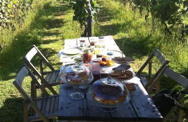 Cascina La Maddalena Bed & Wine - Foto 75