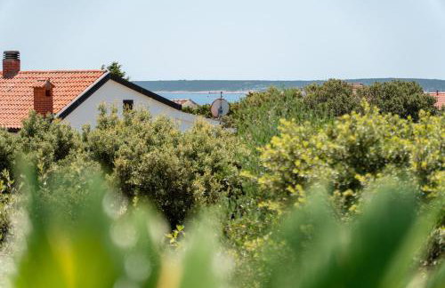 Summer in Mandre - Foto 48