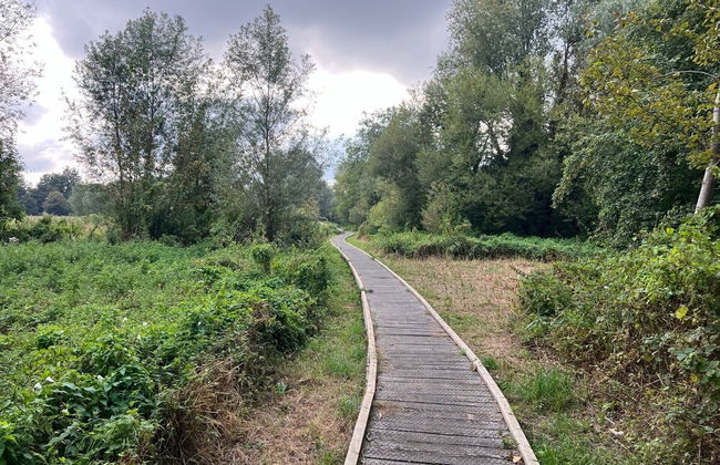 7a Sir Alf Ramsey Way - Foto 13