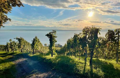 Apartment Chardonnay in Seenähe - Foto 33