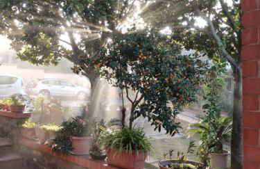 Le Magnolie Paliano appartamento 120 mq - Foto 20