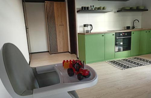 Agroturystyka "Apartament na wsi" Bory Tucholskie - Foto 7
