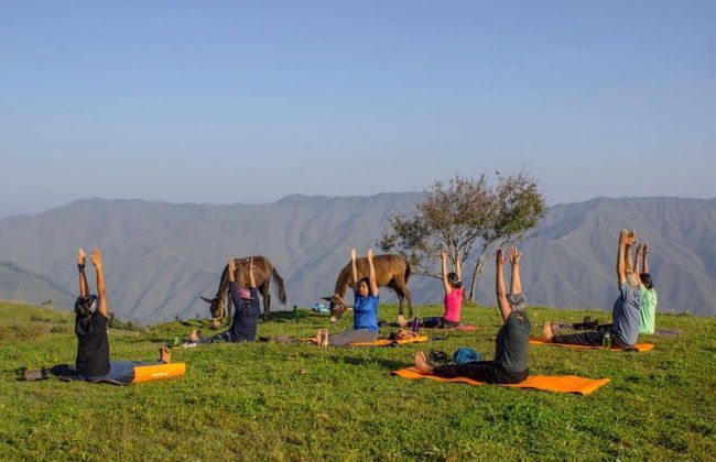 The Goat Village - Foto 44