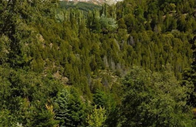 Las Cumbres Apart & Suites - Foto 26