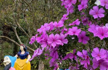 Casa de Campo Chácara Recanto da Águia - Foto 73