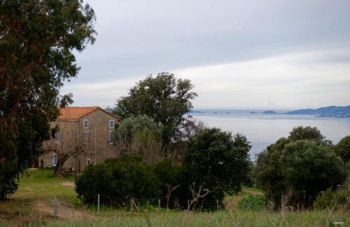 Maison de maître en pierre de 1831 avec vue sur la mer à Porticcio - Foto 16