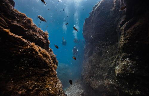 Casa Azul Montecastillo L7 - Photo 33