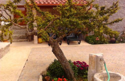 Retiro Da Avo Lídia - Turismo Rural - Foto 55