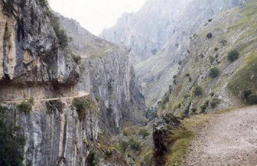 El Jermoso - Photo 11