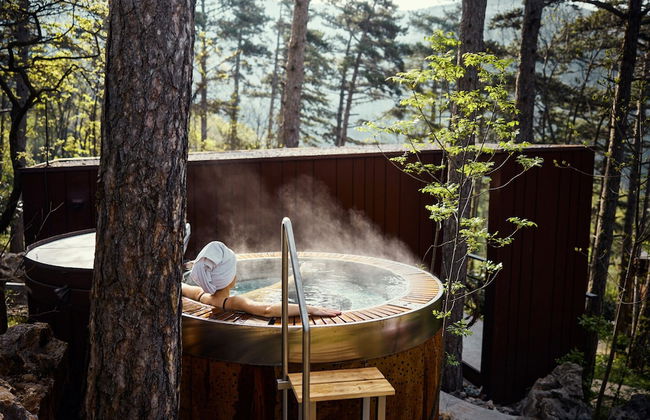 Theodosius forest village Vipava - Foto 10