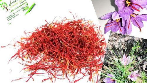 Agriturismo Demetra, b&b Demetra - Foto 4